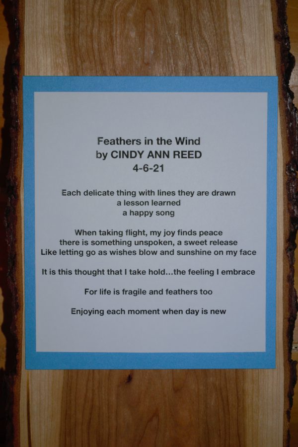 Feathers in the Wind Poem